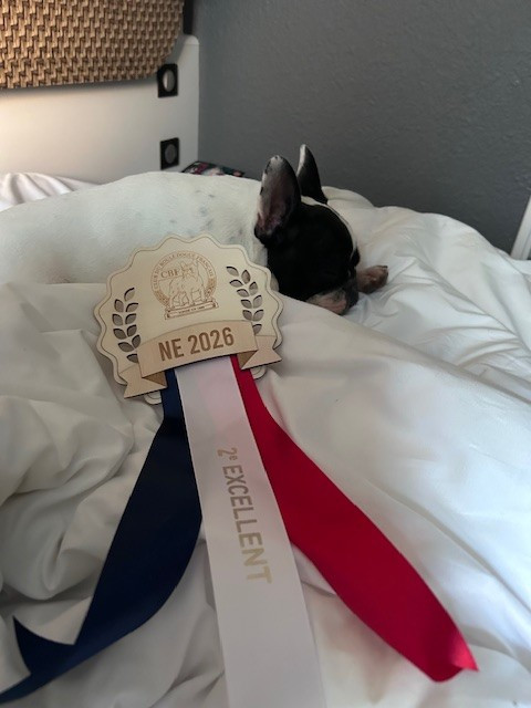 Nationale d'élevage 14 mars 2026 Montluçon