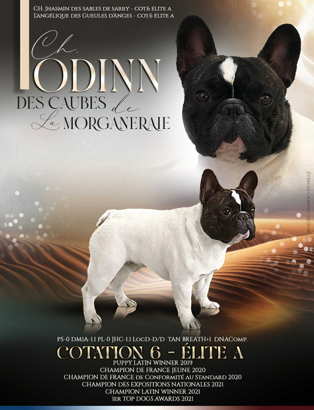 Des bébés en préparation